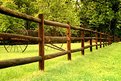 Picture Title - Fenceline