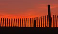 Picture Title - Fenced Sunrise colors!