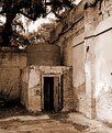 Picture Title - Ruin, Williston, Florida