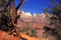 Picture Title - Zion Canyon National Park (s1125)