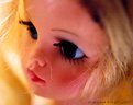 Picture Title - doll