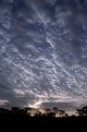 Picture Title - Morning Clouds