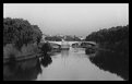 Picture Title - Tiber #1