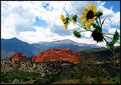 Picture Title - Garden of the Gods & Pikes Peak