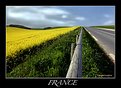 Picture Title - Spring in France!