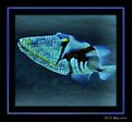 Picture Title - Herringbone Fish