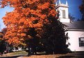 Picture Title - Foliage in Historic Deerfield