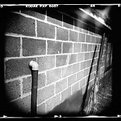 Picture Title - Brick Wall