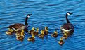 Picture Title - Family Outing