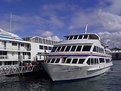 Picture Title - Harbour Cruiser - Sydney