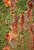 moss,rust and salt...