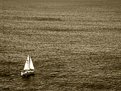 Picture Title - Tarnished sea