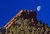 Moonshot