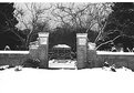 Picture Title - Snowy Gates