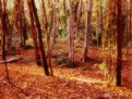 Picture Title - Lothlorien in Autumn