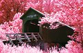 Picture Title - Bean Blossom Bridge
