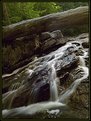 Picture Title - Mountain Stream