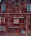 Picture Title - Old Barn