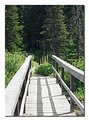 Picture Title - Bridge Over Swiftcurrent Lake