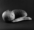 Picture Title - Squash & Bananna