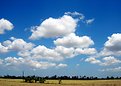 Picture Title - Cloud in Blue