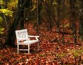 Picture Title - White Bench