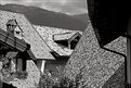 Picture Title - roofs