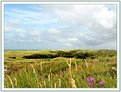 Picture Title - The Dunes