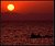 Red Sea Sunset