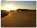 Picture Title - Dunes