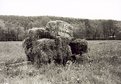Picture Title - Mulch Hay