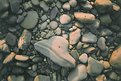 Picture Title - Rocks