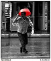 Picture Title - rainman