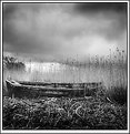 Boat in Reeds