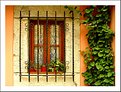 Picture Title - A window (III)