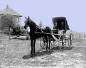 Picture Title - Horse & Buggy Days