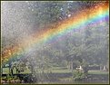 Picture Title - "Under the rainbow"