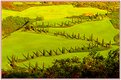 Picture Title - Springtime in Tuscany