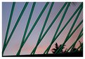Picture Title - Green stripes