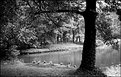 Picture Title - In the park I