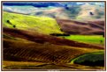 Picture Title - Tuscany hills in october