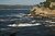 Cove  Point Lobos