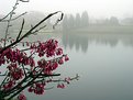 Picture Title - Pink Lake