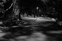 Picture Title - Lonely path at night
