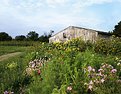 Picture Title - Long Island Barn