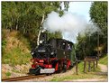 Picture Title - Saxon Steam Train