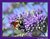 Bee and Flower