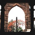 Picture Title - Ashoka's Pillar at Qutb Minar