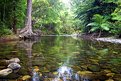 Picture Title - Daintree creek