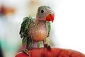 Picture Title - just one day birthday